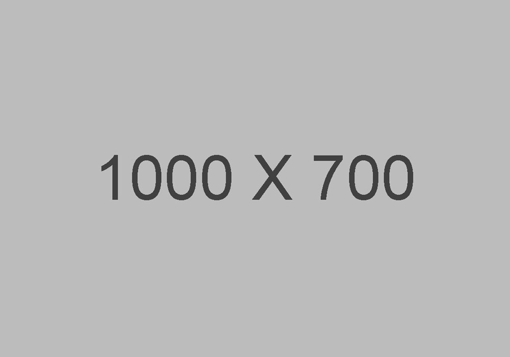 Banner 1